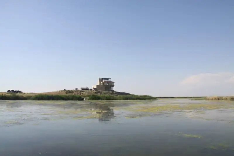 بازگشت حیات به تالاب کانی‌برازان مهاباد