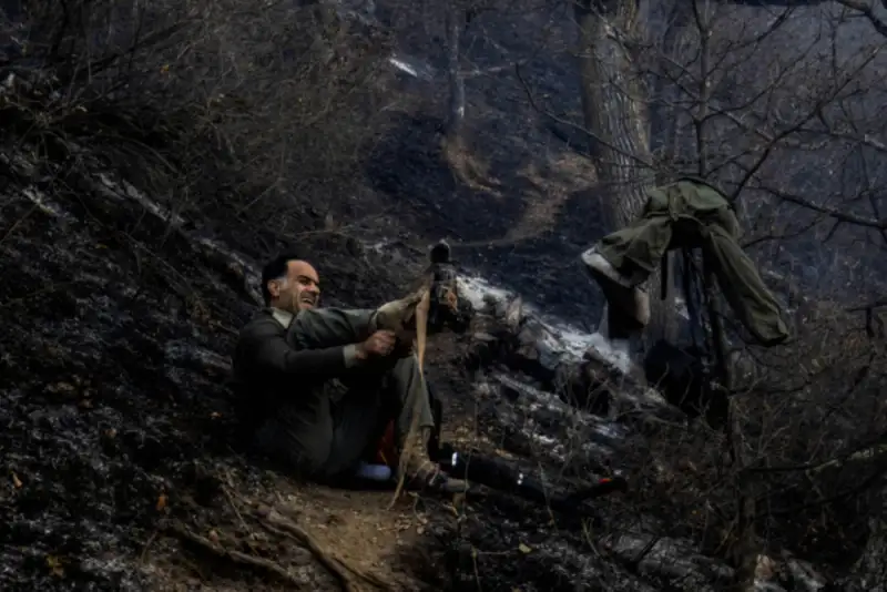 شکارچیان غیرمجاز عامل احتمالی آتش‌سوزی جنگل‌های الیت