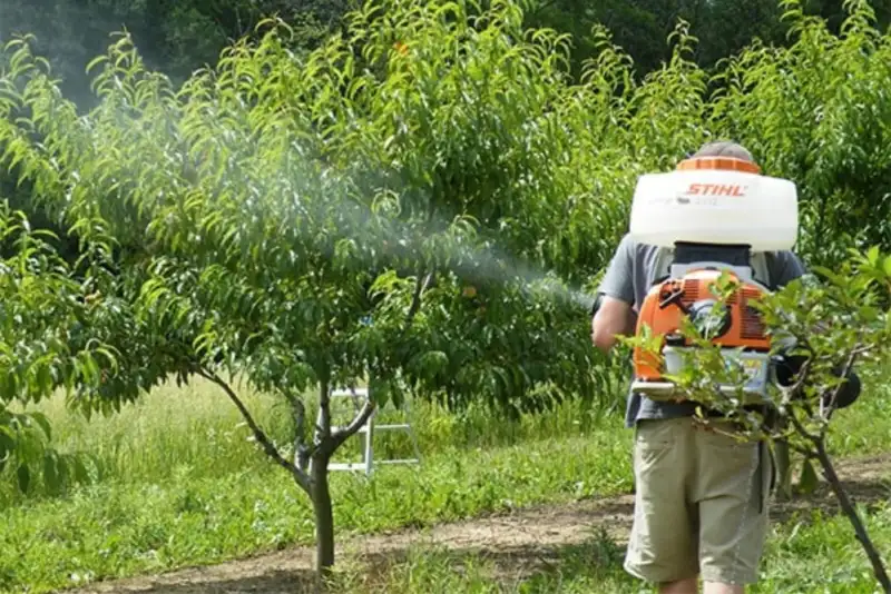 اثرکوکتل در میوه ها و سبزیجات تهدید کننده حیات است