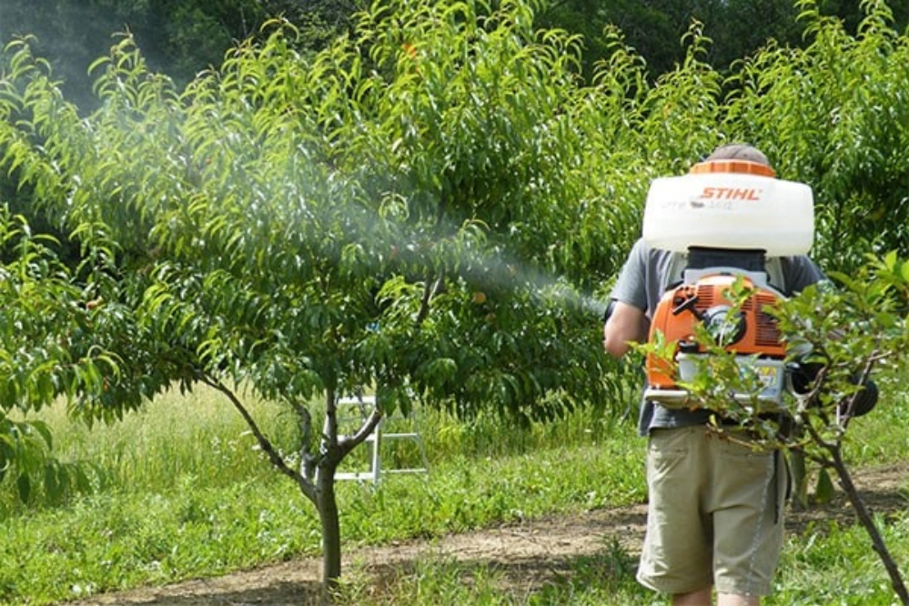 اثرکوکتل در میوه ها و سبزیجات تهدید کننده حیات است