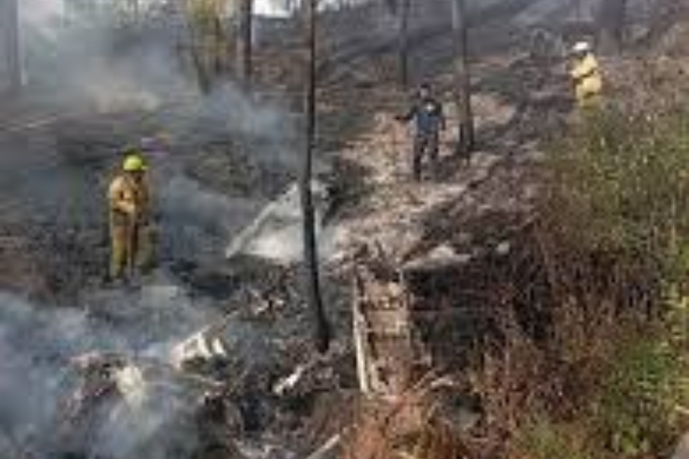 سقوط هواپیما در مکزیک؛ 7 نفر کشته شدند