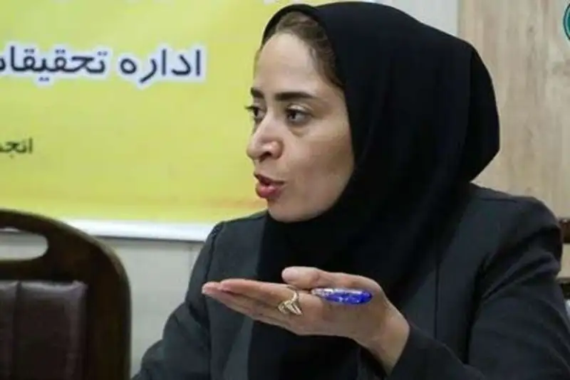 بارش یک متری برف در شهرستان رابر تکذیب شد