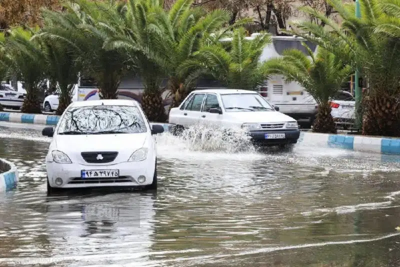 بارش‌های اخیر کرمان در 80 سال گذشته بی‌سابقه است