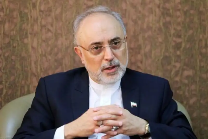 پیشنهاد صالحی برای مذاکرات ایران و آمریکا