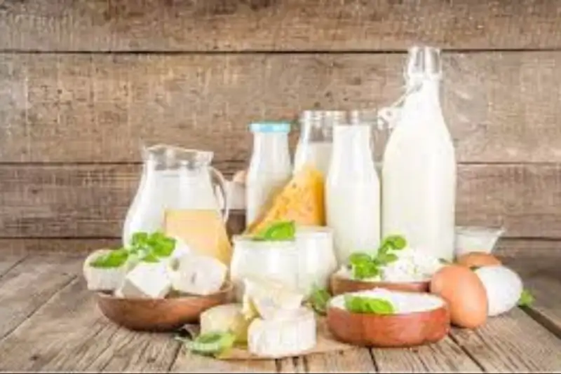 قیمت لبنیات در دی‌ماه کاهش می یابد