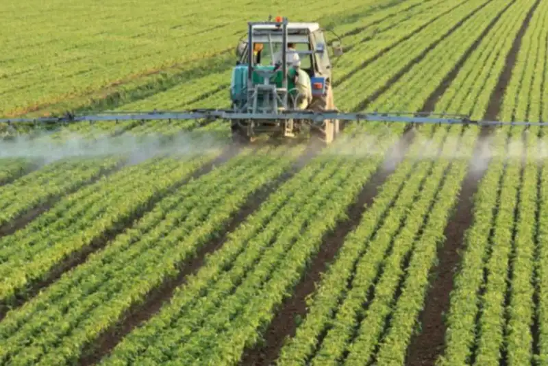 ابلاغ ضوابط کشت فراسرزمینی از سوی وزارت جهاد کشاورزی