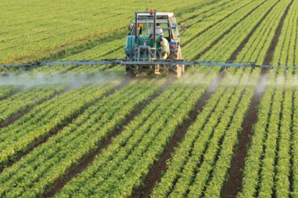 ابلاغ ضوابط کشت فراسرزمینی از سوی وزارت جهاد کشاورزی