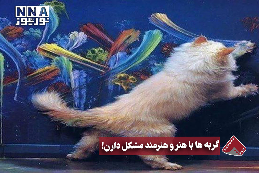 نورنما | گربه‌ها با هنر و هنرمند مشکل دارن!