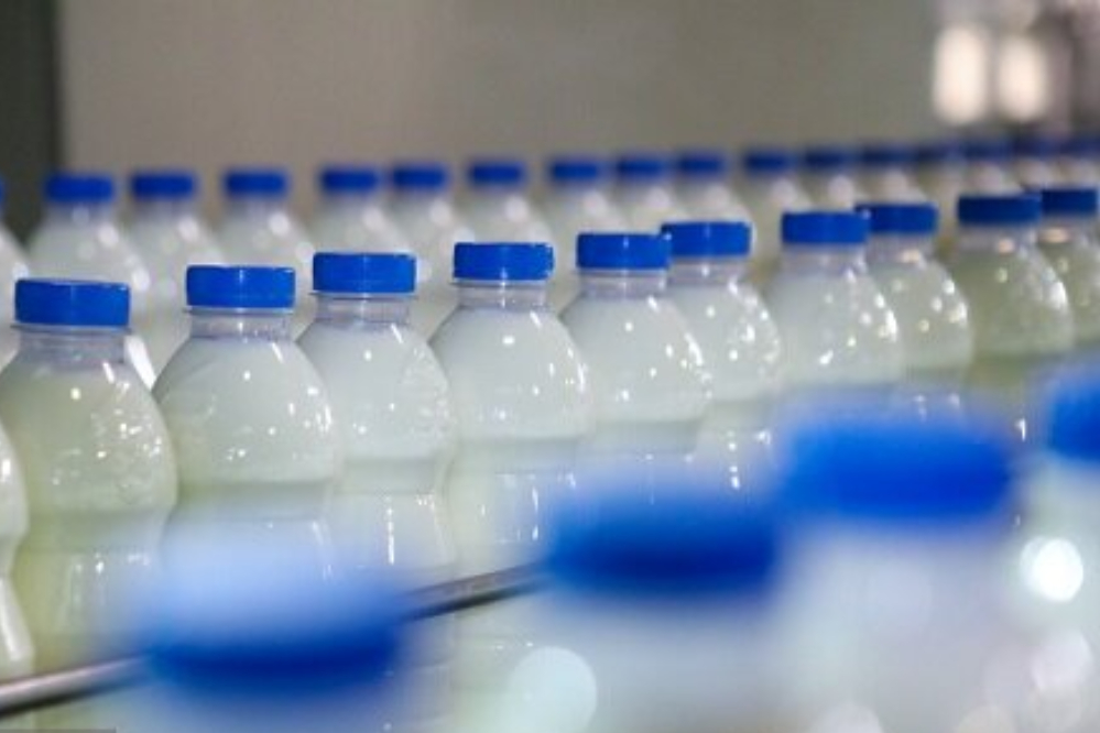 هشدار آخر به گرانفروشان شیر و لبنیات