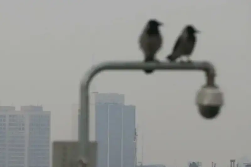 افزایش غلظت آلاینده ها در شهرهای صنعتی