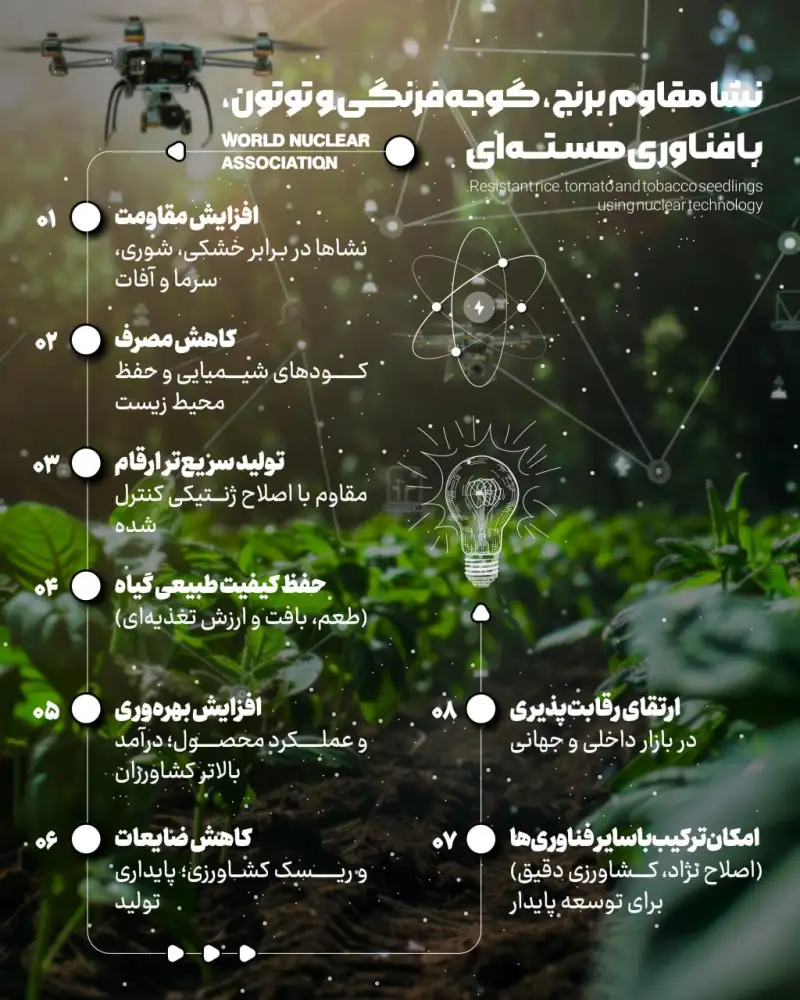 انقلاب نامرئی! شاهکار اتمی در قلب طبیعت