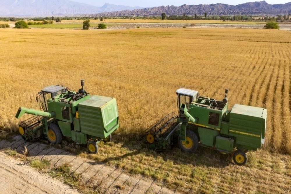 تقویت امنیت غذایی با ذخیره 4 میلیون تن گندم