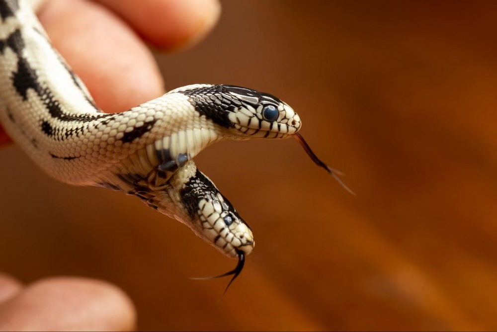 جهان در سال 2025 به روایت تصویر_ بخش سوم