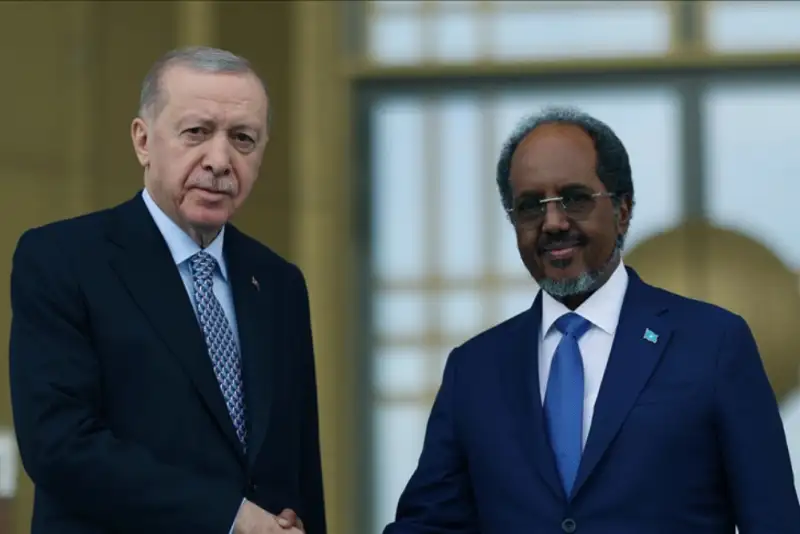 اردوغان: به رسمیت شناختن «سومالی‌لند» از سوی اسرائیل کاملا غیرقانونی است