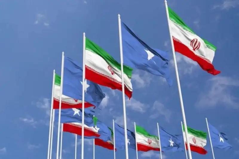 تشکر سومالی از حمایت های ایران