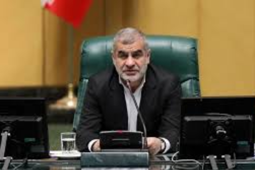 نیکزاد: مجلس یکشنبه تعطیل نیست