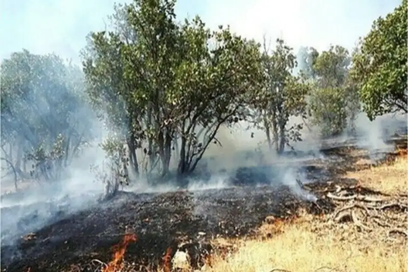 مهار آتش در بیش از 5 هزار متر مربع از جنگل‌های تالش گیلان