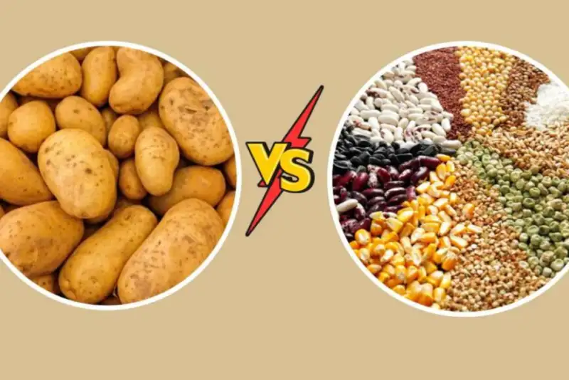 چرا سیب‌زمینی و غلات جایگزین هم نیستند؟