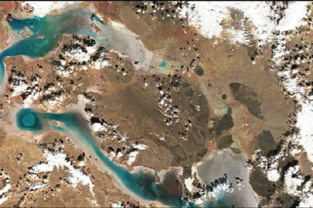 روح تازه در جان بختگان دمیده شد