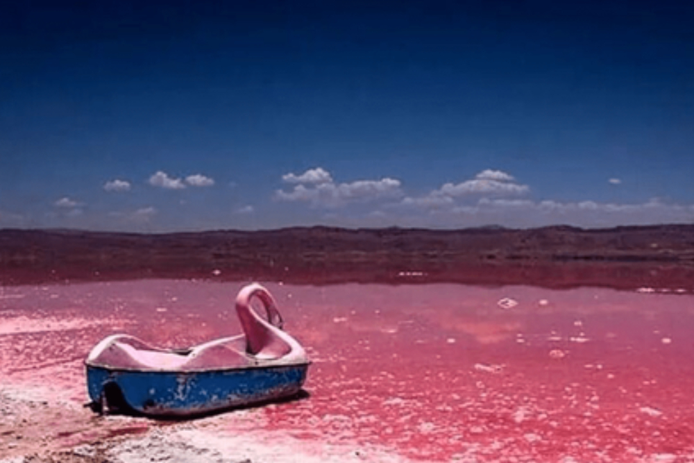 صورتی‌ترین دریاچه ایران جان گرفت