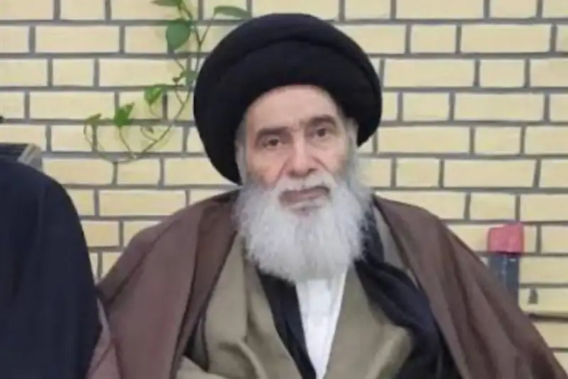 آیت‌الله سیستانی سوگوار شد