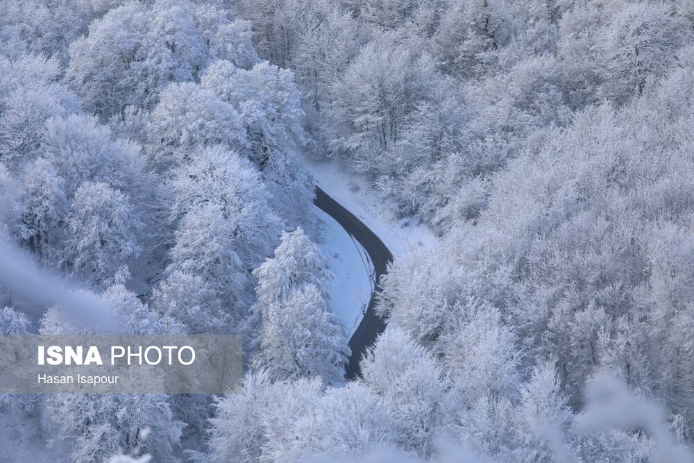 گزارش تصویری| بارش برف زمستانی در سوادکوه