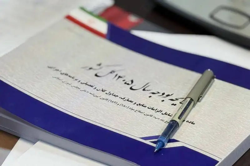 سقف استفاده از تسهیلات مالی خارجی برای طرح‌های دولتی  اعلام شد