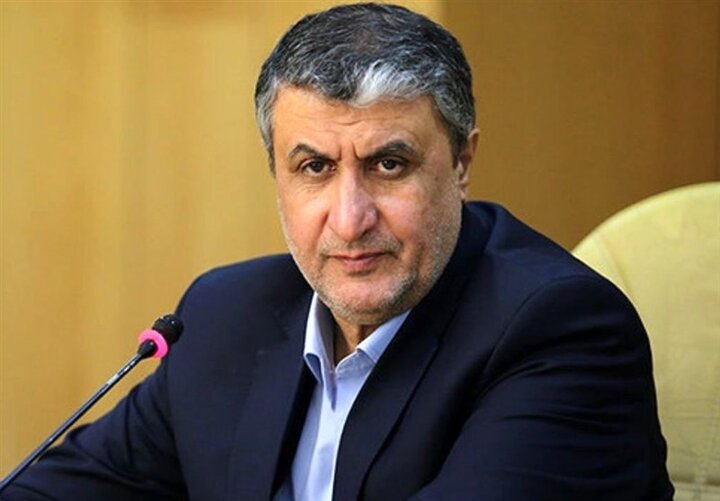 IAEA has conducted inspection on undamaged sites only: Eslami