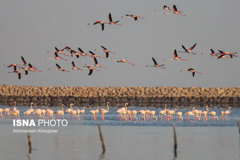 عکس های منتخب ایران، سه شنبه 7 بهمن 1404