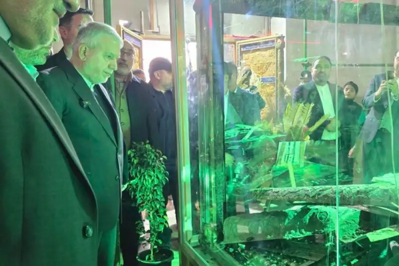 هتک حرمت حرم سبزقبا چهره واقعی دشمنان ایران را آشکار کرد