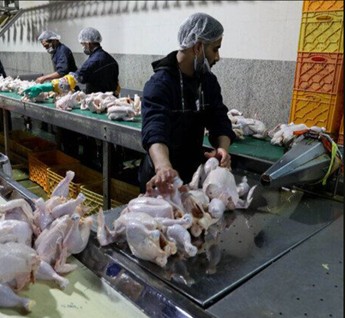 حذف ناگهانی ارز ترجیحی درمان یا شوک ناگهانی به تولید؟