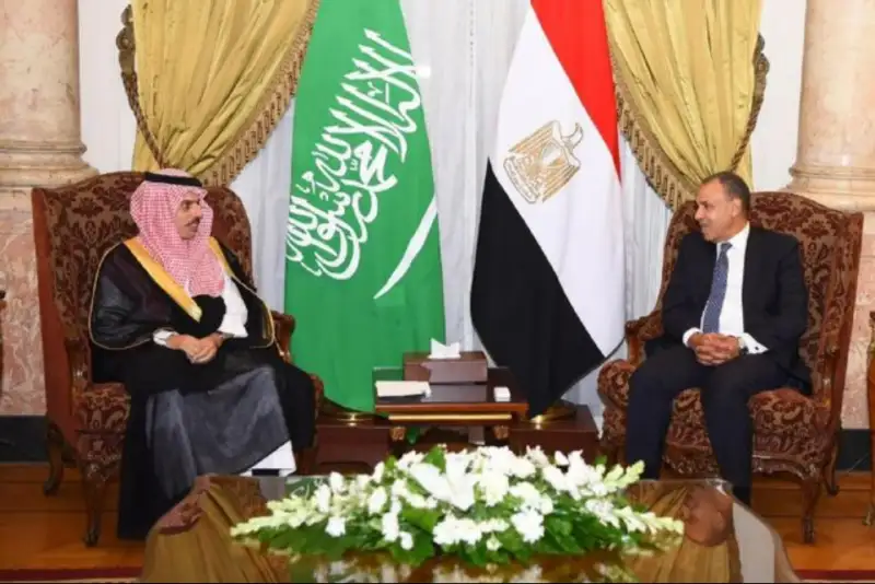 رایزنی وزیران خارجه مصر و عربستان درباره کاهش تنش‌ها