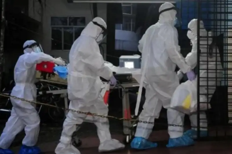 هر آنچه باید درمورد ویروس نیپا بدانید