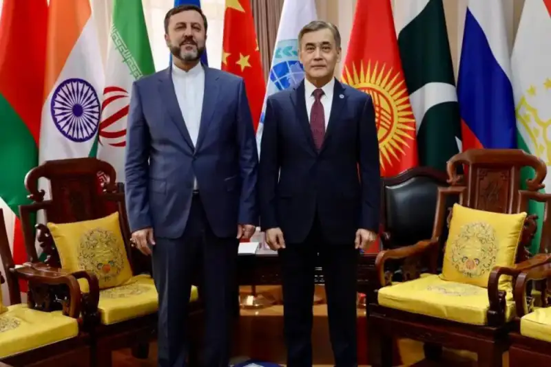 دیدار غریب‌آبادی با دبیرکل سازمان همکاری شانگهای