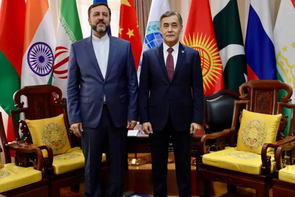 دیدار غریب‌آبادی با دبیرکل سازمان همکاری شانگهای