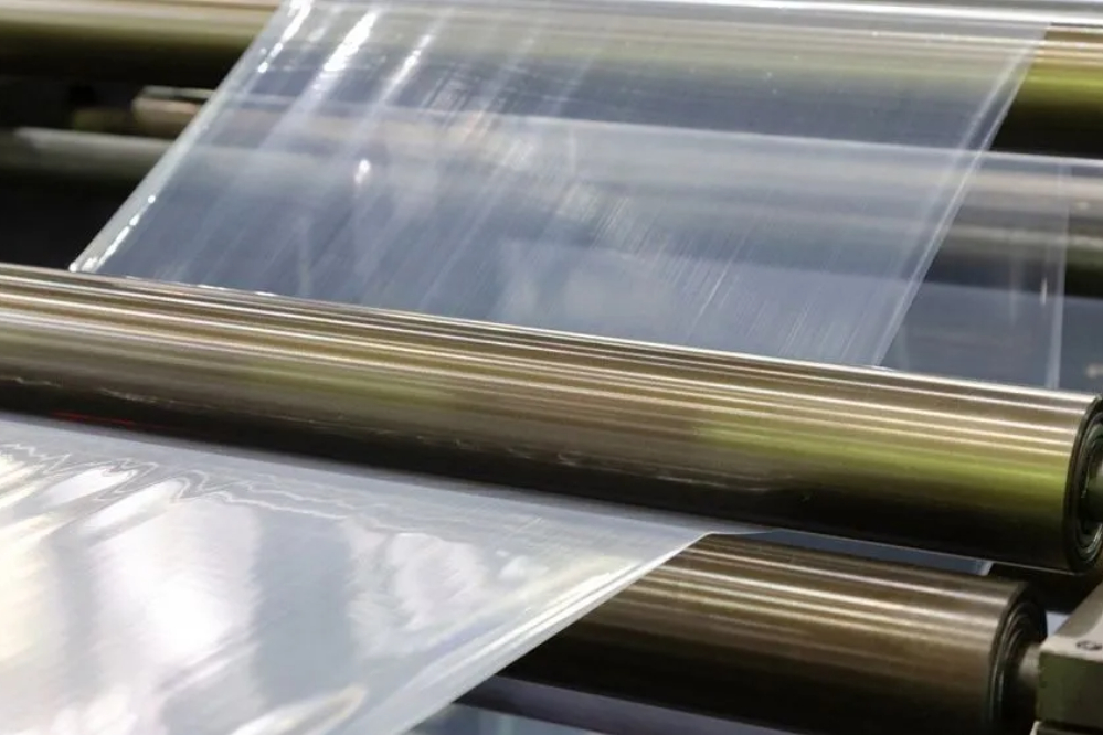 Российские физики создали антимикробную пленку для продуктов, подавляющую рост бактерий