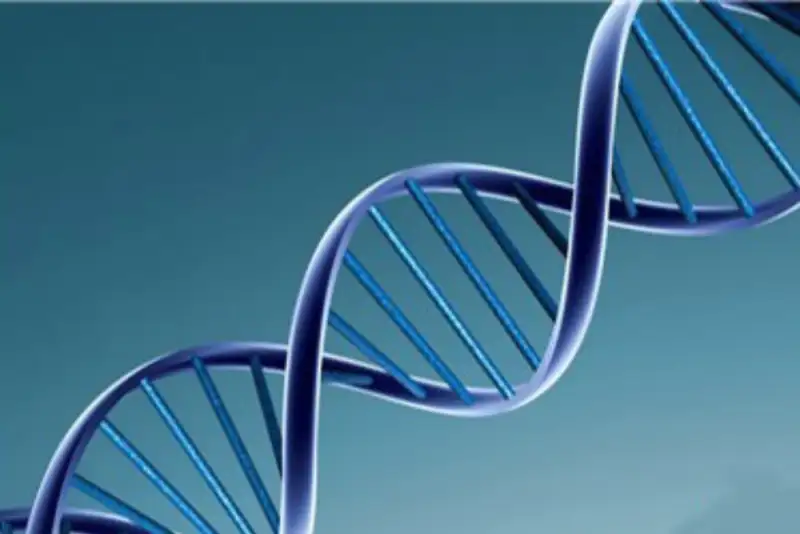 اوریگامی DNA، کلید نظم‌بخشی مولکولی در نیمه‌رساناهای دوبعدی