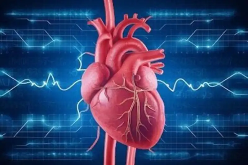 با یک روش ساده، بازگشت آریتمی قلبی را کاهش دهید