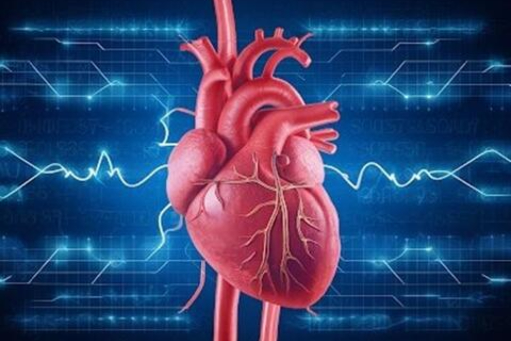 با یک روش ساده، بازگشت آریتمی قلبی را کاهش دهید