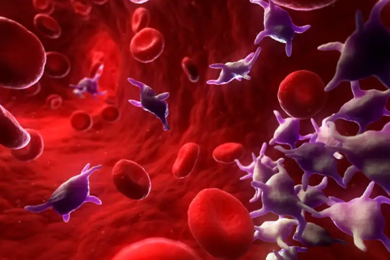 «پلاکت»؛ فرآورده‌ای با عمر کم و فواید زیاد