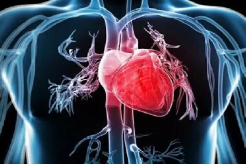 2 روش ساده، کلید سلامت قلب شما