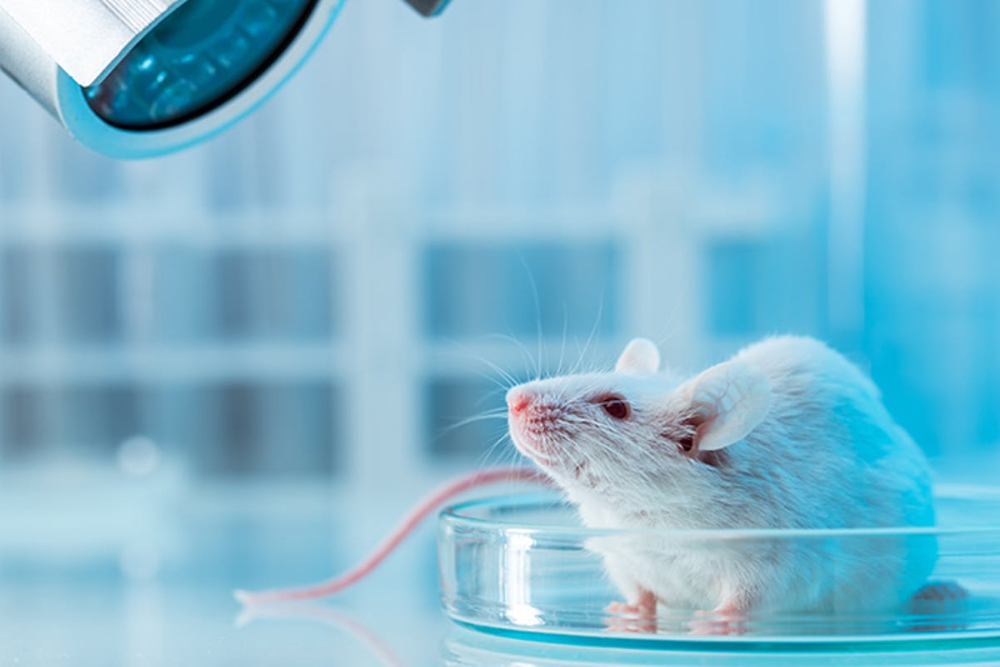 ساخت یک میکسر مغناطیسی نوین