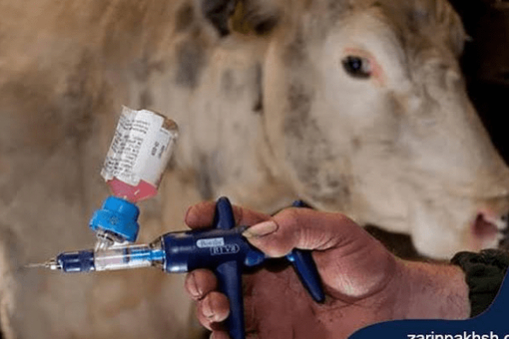 Вторая страна в мире; вакцина против ящура, разработанная с использованием иранских ядерных технологий.