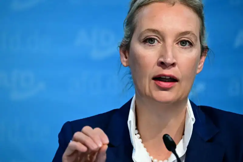 رهبر راست افراطی آلمان خواستار پایان حمایت برلین از کی‌یف شد