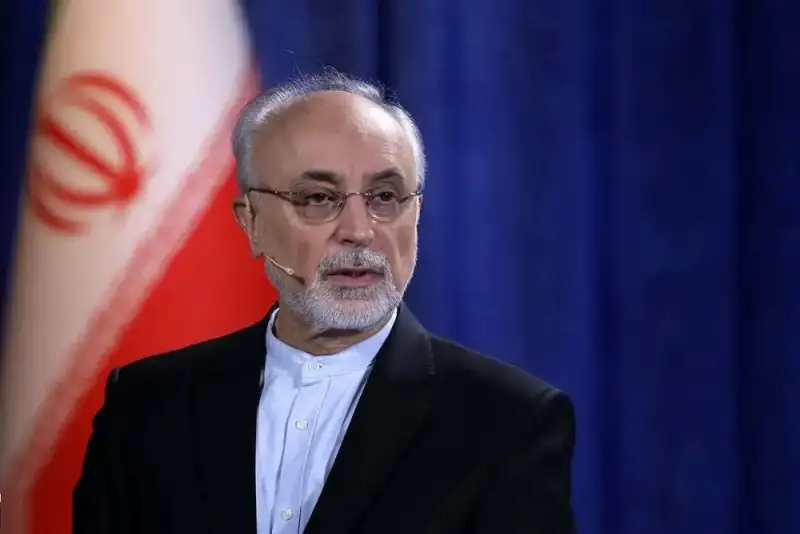 صالحی: ایران باید فاصله خود را با 3 قدرت اصلی جهانی حفظ کند