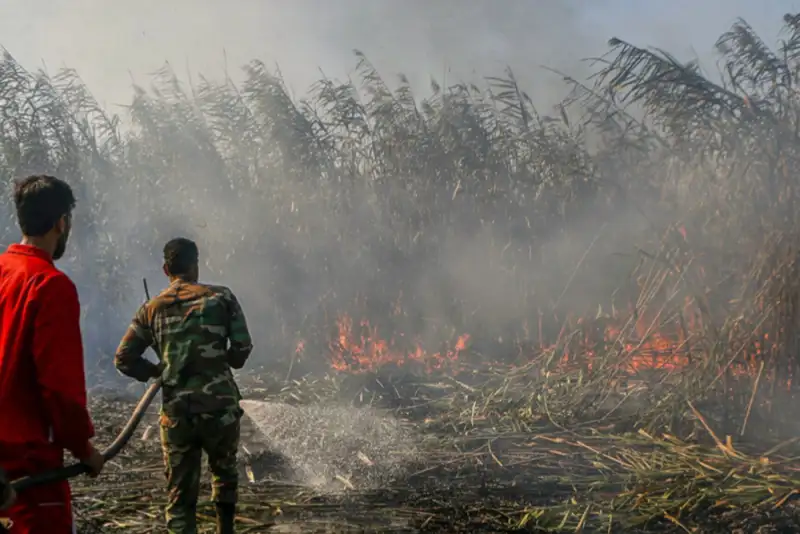 6 هکتار از اراضی تالاب انزلی طعمه حریق شد
