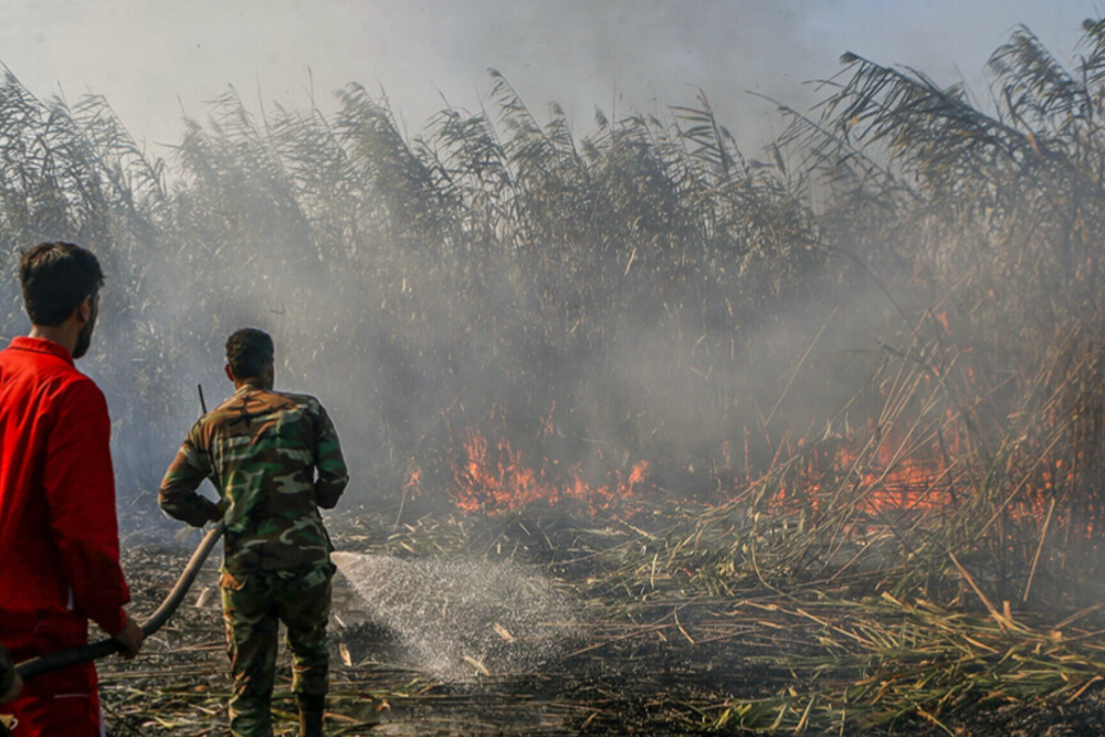 6 هکتار از اراضی تالاب انزلی طعمه حریق شد