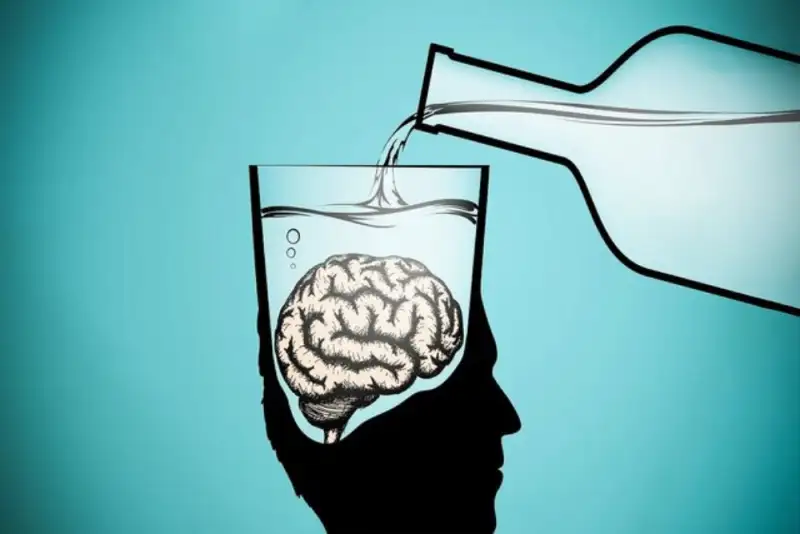 کاری که نوشیدن الکل با مغز انسان می‌کند
