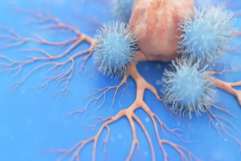 تشخیص سرطان پروستات با هوش مصنوعی