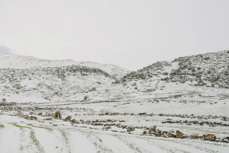 تهران درگیر «خشکسالی برفی» شده است